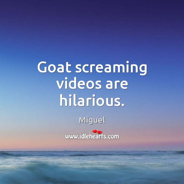 Goat screaming videos are hilarious. Miguel Picture Quote