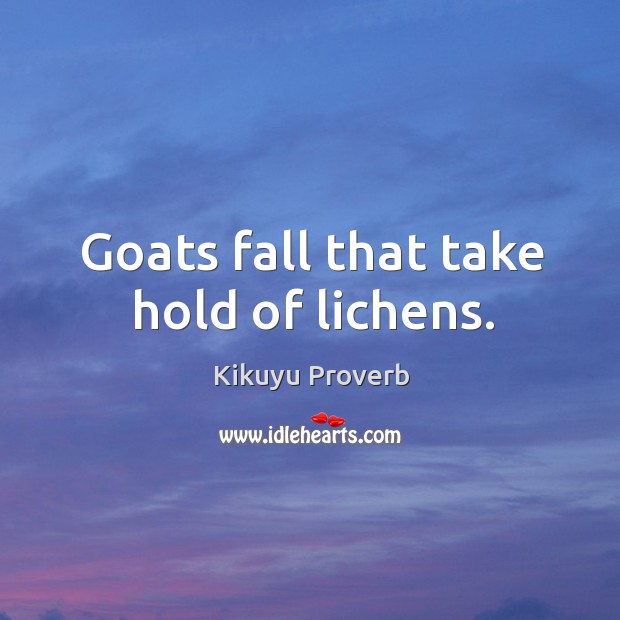 Goats fall that take hold of lichens. Kikuyu Proverbs Image