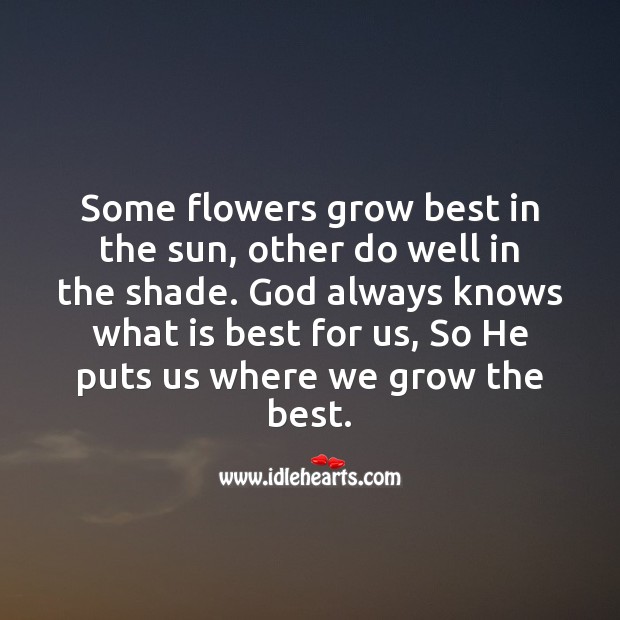 God always knows what is best for us Image