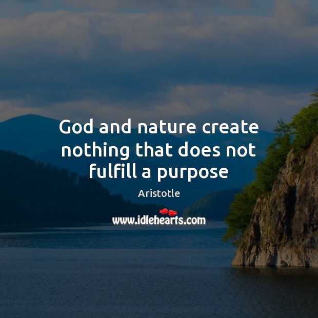 God and nature create nothing that does not fulfill a purpose Image