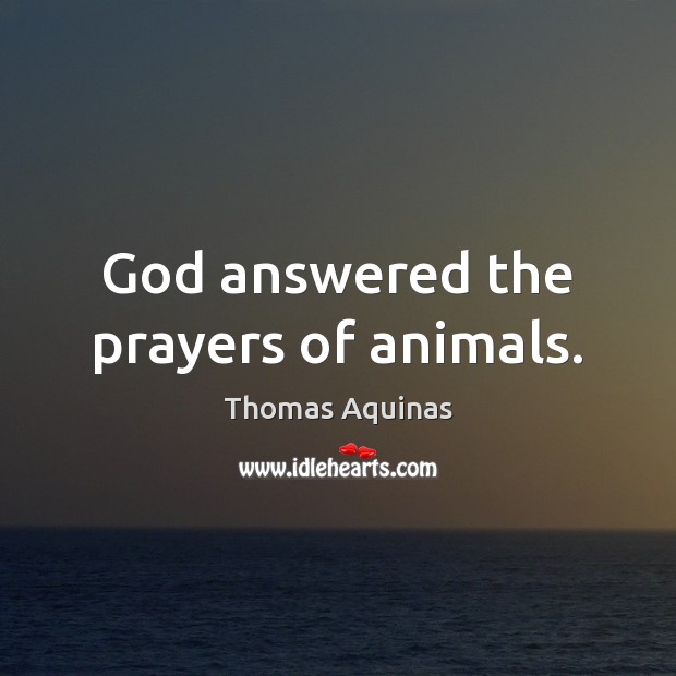 God answered the prayers of animals. Thomas Aquinas Picture Quote