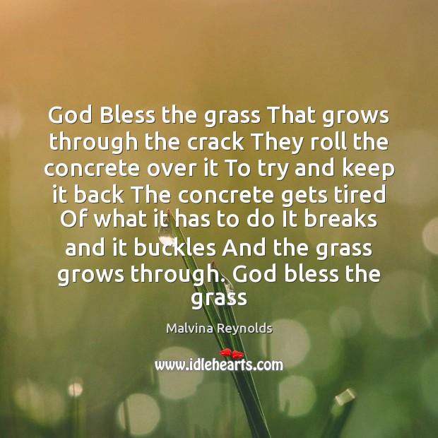 God Bless the grass That grows through the crack They roll the Malvina Reynolds Picture Quote