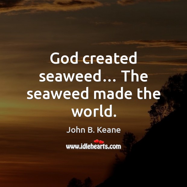 God created seaweed… The seaweed made the world. John B. Keane Picture Quote