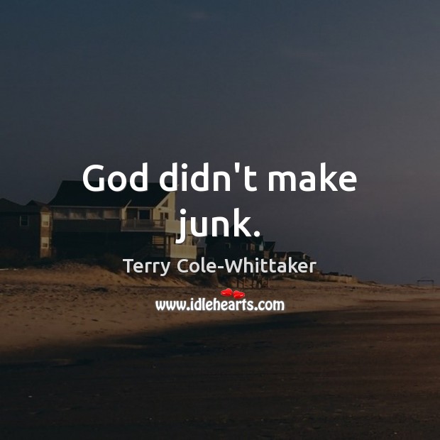 God didn’t make junk. Terry Cole-Whittaker Picture Quote