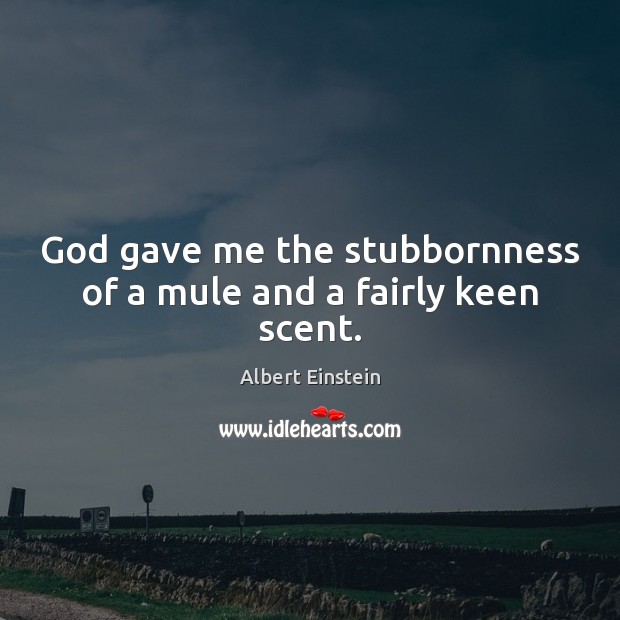 God gave me the stubbornness of a mule and a fairly keen scent. Image
