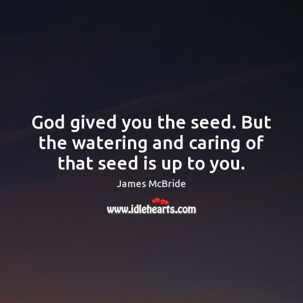 God gived you the seed. But the watering and caring of that seed is up to you. James McBride Picture Quote