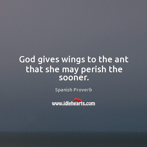 God gives wings to the ant that she may perish the sooner. God Quotes Image