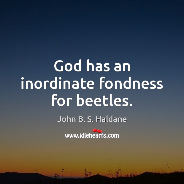 God has an inordinate fondness for beetles. John B. S. Haldane Picture Quote