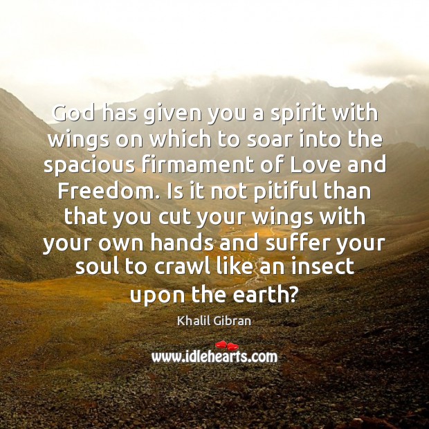 God has given you a spirit with wings on which to soar Image