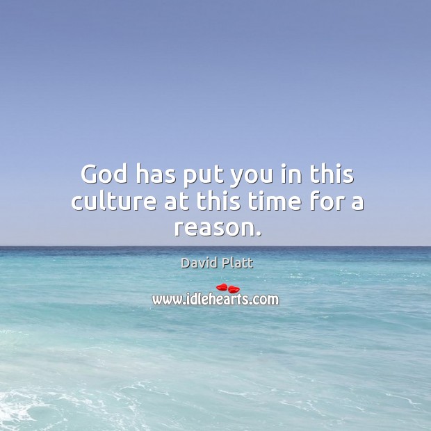 God has put you in this culture at this time for a reason. David Platt Picture Quote