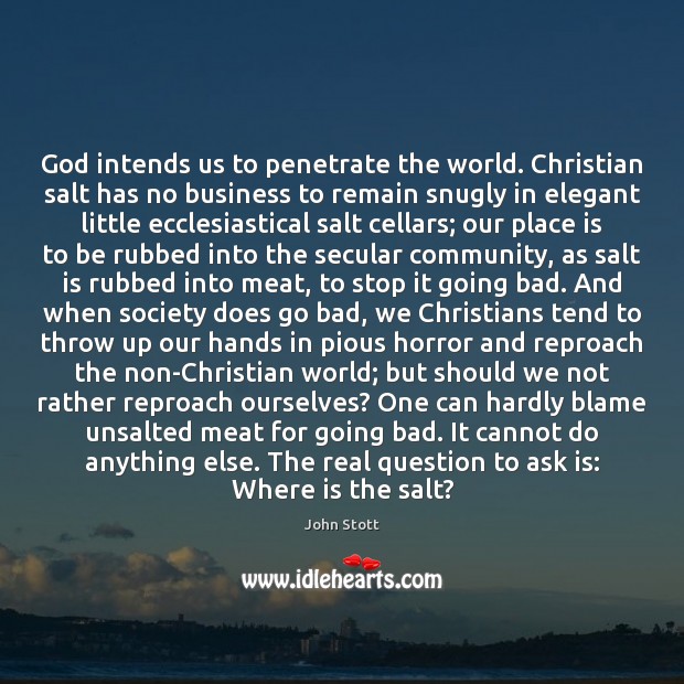God intends us to penetrate the world. Christian salt has no business John Stott Picture Quote
