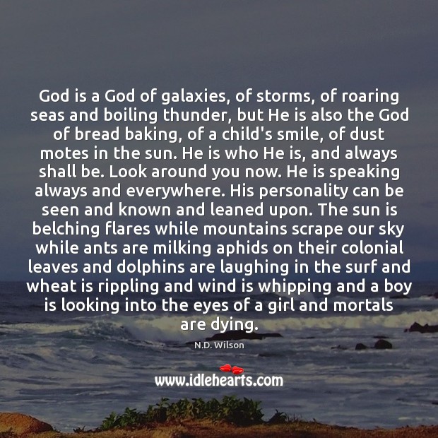 God is a God of galaxies, of storms, of roaring seas and N.D. Wilson Picture Quote