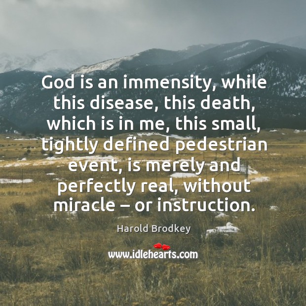 God is an immensity, while this disease, this death, which is in me, this small Harold Brodkey Picture Quote