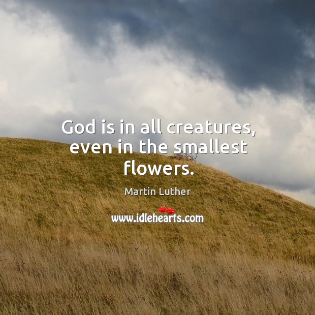 God is in all creatures, even in the smallest flowers. Image
