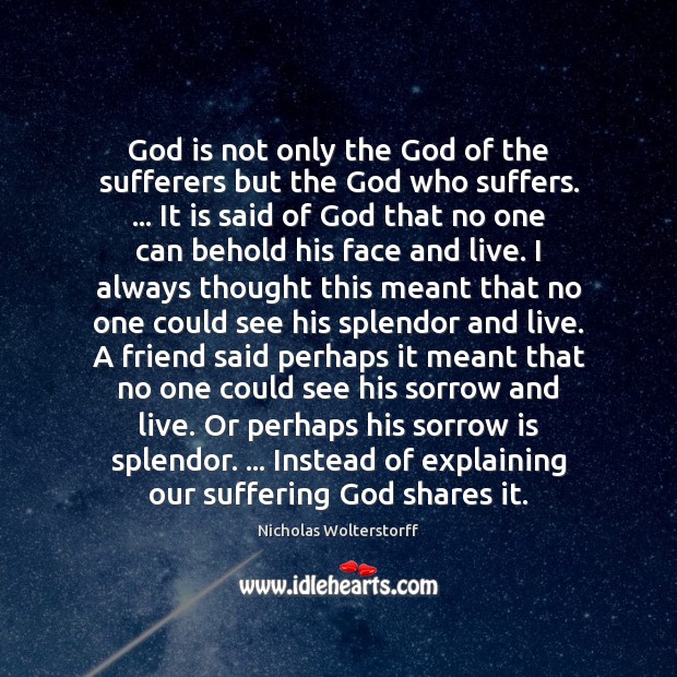 God is not only the God of the sufferers but the God Nicholas Wolterstorff Picture Quote