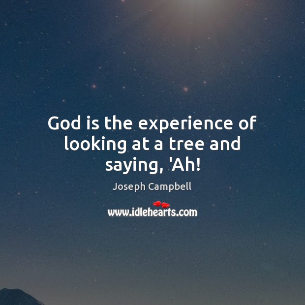 God is the experience of looking at a tree and saying, ‘Ah! Image