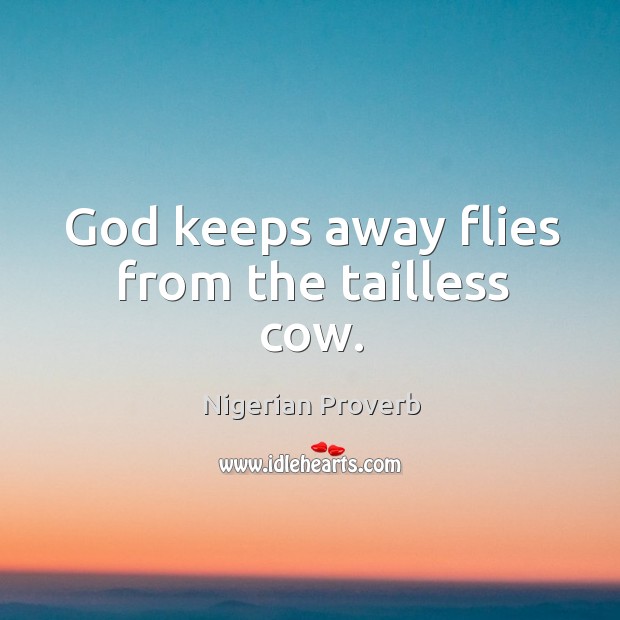 God keeps away flies from the tailless cow. Nigerian Proverbs Image