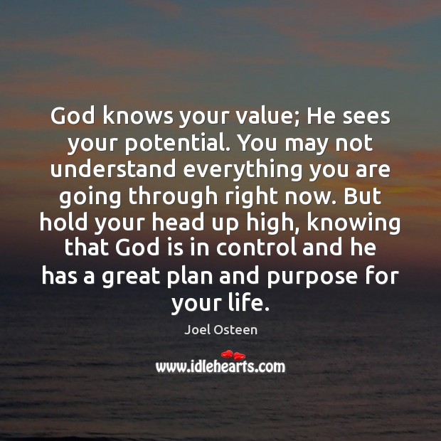 God knows your value; He sees your potential. You may not understand Joel Osteen Picture Quote