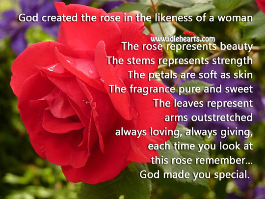 God created the rose in the likeness of a woman Motivational Quotes Image