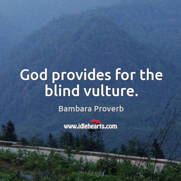 God provides for the blind vulture. Bambara Proverbs Image