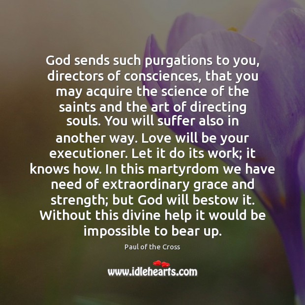 God sends such purgations to you, directors of consciences, that you may Paul of the Cross Picture Quote