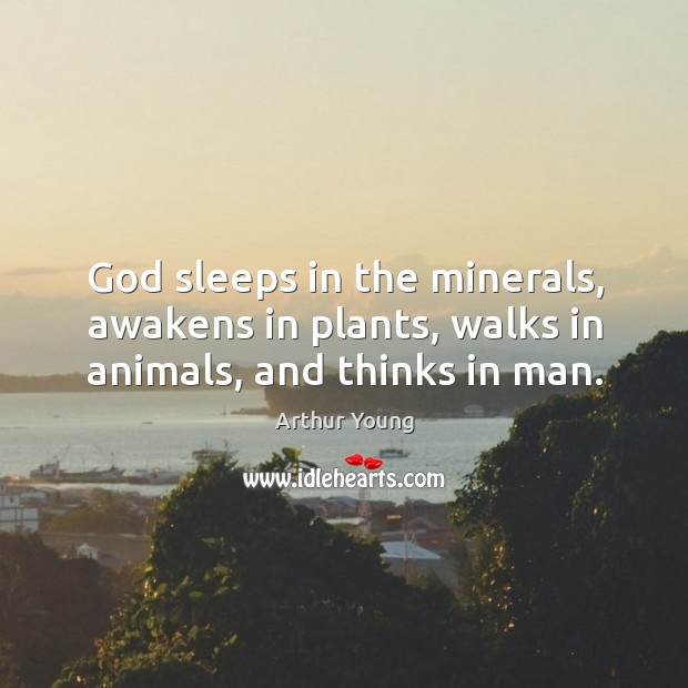 God sleeps in the minerals, awakens in plants, walks in animals, and thinks in man. Image