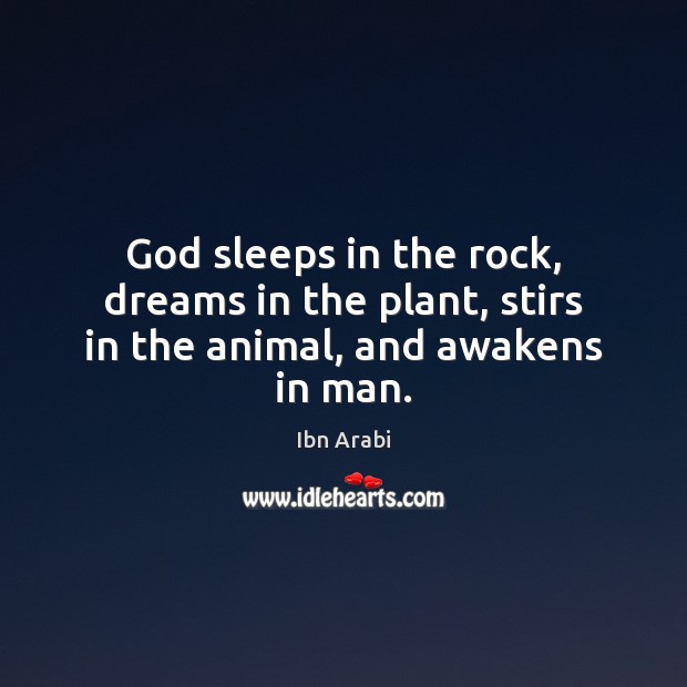God sleeps in the rock, dreams in the plant, stirs in the animal, and awakens in man. Image