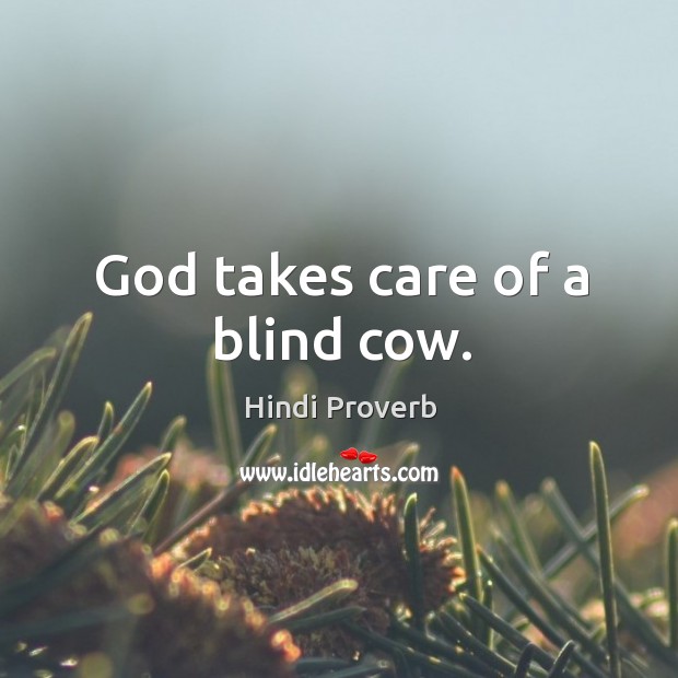 God takes care of a blind cow. Image