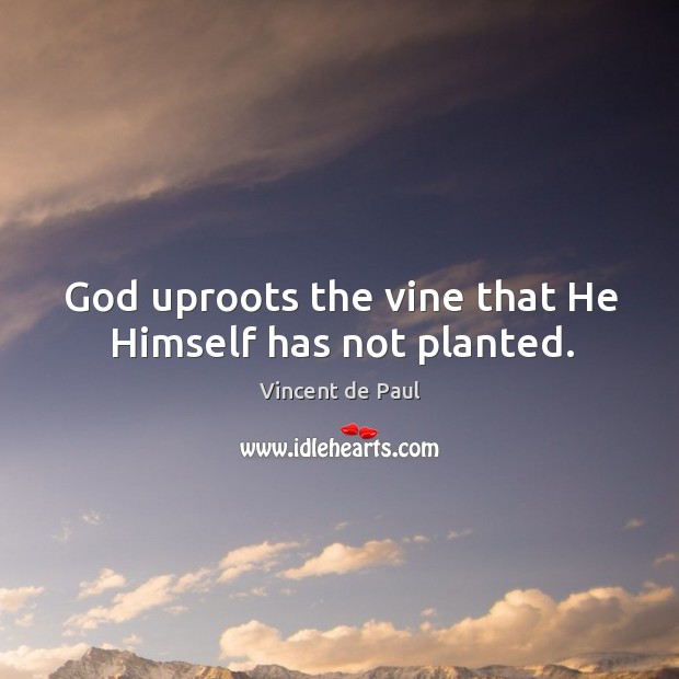 God uproots the vine that He Himself has not planted. Vincent de Paul Picture Quote