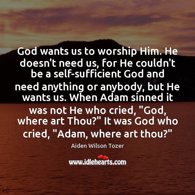 God wants us to worship Him. He doesn’t need us, for He Aiden Wilson Tozer Picture Quote