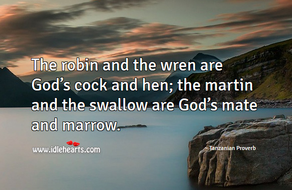 The robin and the wren are God’s cock and hen; the martin and the swallow are God’s mate and marrow. Tanzanian Proverbs Image