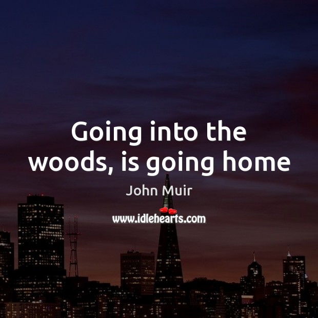 Going into the woods, is going home Image