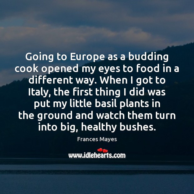 Going to Europe as a budding cook opened my eyes to food Frances Mayes Picture Quote