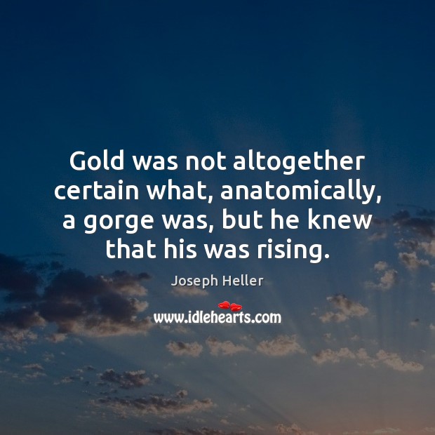 Gold was not altogether certain what, anatomically, a gorge was, but he Joseph Heller Picture Quote