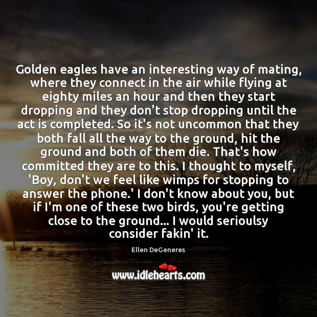 Golden eagles have an interesting way of mating, where they connect in Ellen DeGeneres Picture Quote