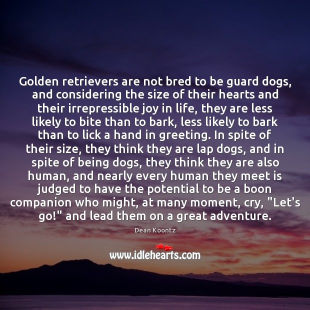 Golden retrievers are not bred to be guard dogs, and considering the Dean Koontz Picture Quote