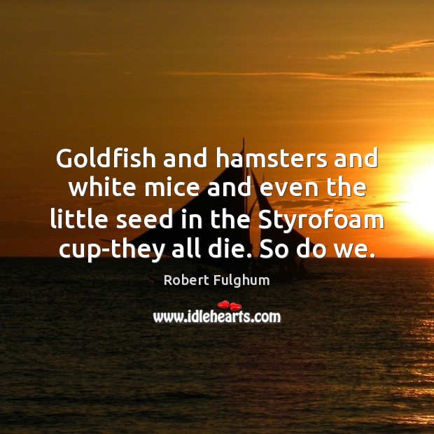 Goldfish and hamsters and white mice and even the little seed in Robert Fulghum Picture Quote