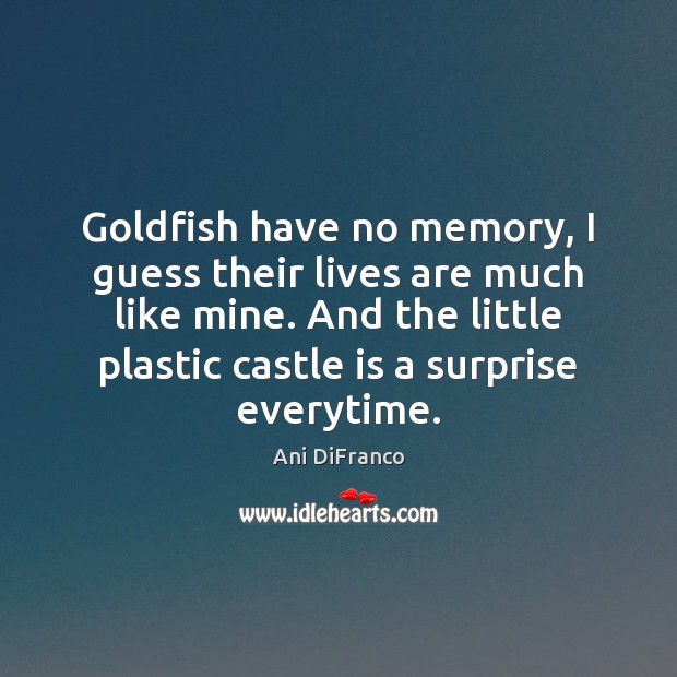 Goldfish have no memory, I guess their lives are much like mine. Ani DiFranco Picture Quote