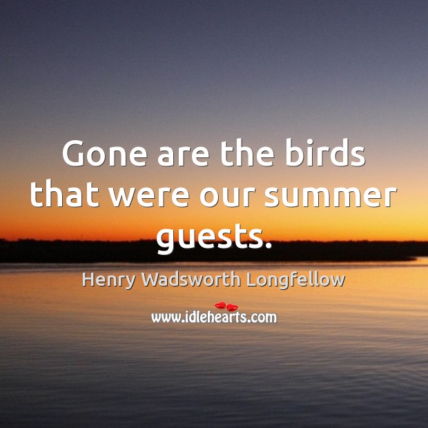 Gone are the birds that were our summer guests. Image