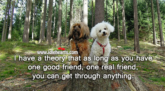 One good friend, one real friend, you can get through anything. Real Friends Quotes Image