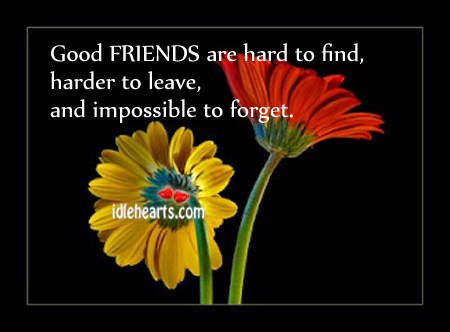Good friends are hard to find, harder to leave, and impossible to forget. Image
