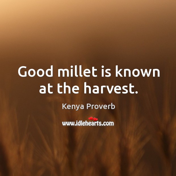 Good millet is known at the harvest. Kenya Proverbs Image
