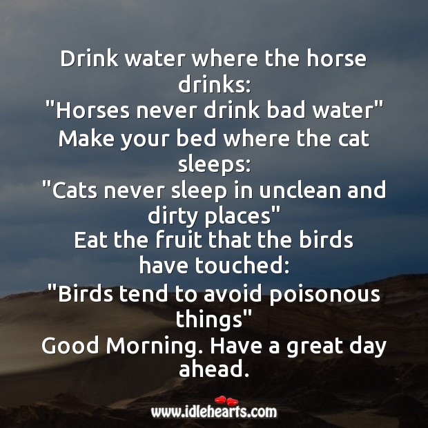 Good Morning. Have a great day ahead. Water Quotes Image