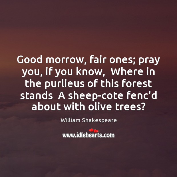 Good morrow, fair ones; pray you, if you know,  Where in the William Shakespeare Picture Quote