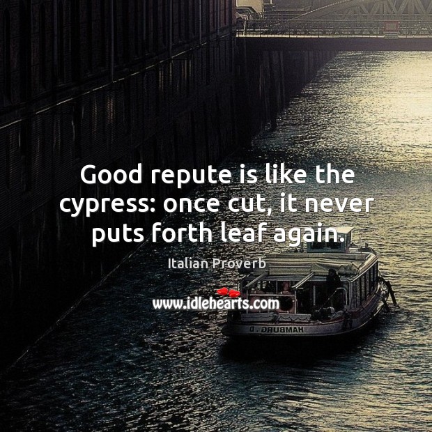 Good repute is like the cypress: once cut, it never puts forth leaf again. Image
