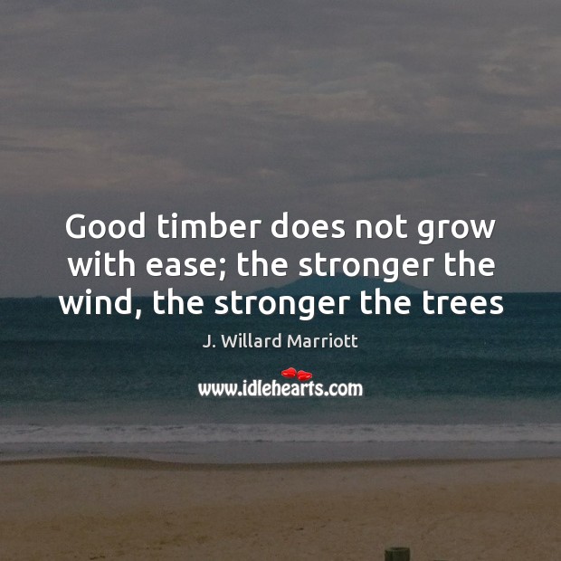 Good timber does not grow with ease; the stronger the wind, the stronger the trees J. Willard Marriott Picture Quote