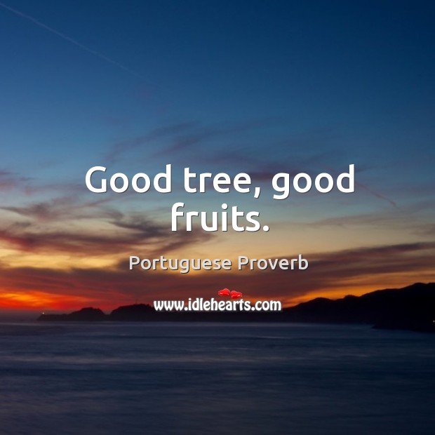 Good tree, good fruits. Portuguese Proverbs Image