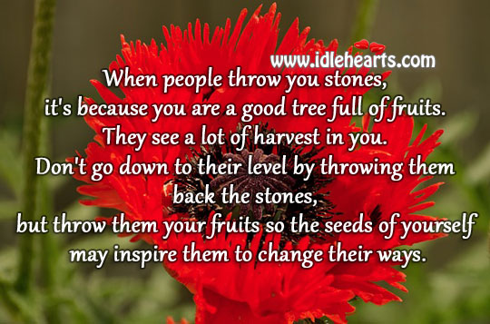 People throw stones at tree full of fruits Image
