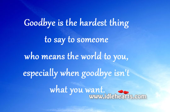 Goodbye is the hardest thing to say Image