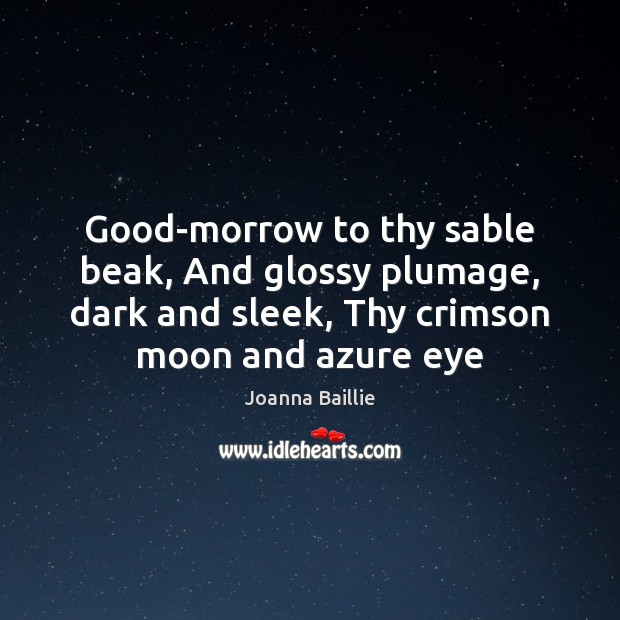 Good-morrow to thy sable beak, And glossy plumage, dark and sleek, Thy Joanna Baillie Picture Quote